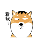 バッハの犬バッハの犬（個別スタンプ：19）