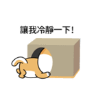 バッハの犬バッハの犬（個別スタンプ：23）