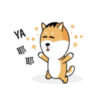 バッハの犬バッハの犬（個別スタンプ：25）