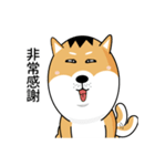 バッハの犬バッハの犬（個別スタンプ：28）