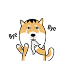 バッハの犬バッハの犬（個別スタンプ：29）