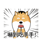 バッハの犬バッハの犬（個別スタンプ：31）
