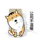 バッハの犬バッハの犬（個別スタンプ：34）