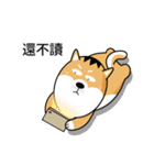 バッハの犬バッハの犬（個別スタンプ：38）