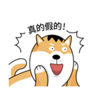 バッハの犬バッハの犬（個別スタンプ：39）