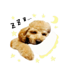 チップの日常（個別スタンプ：3）