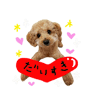 チップの日常（個別スタンプ：9）