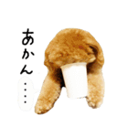 チップの日常（個別スタンプ：10）
