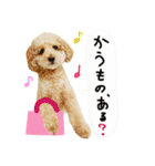 チップの日常（個別スタンプ：18）