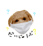チップの日常（個別スタンプ：22）