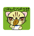 ぺこにゃ～ず 1（個別スタンプ：30）