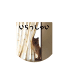 柴犬ちくわくん3（個別スタンプ：3）