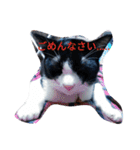 しあわせたっぷりすたんぷ（個別スタンプ：2）