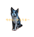 しあわせたっぷりすたんぷ（個別スタンプ：20）