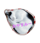 しあわせたっぷりすたんぷ（個別スタンプ：24）