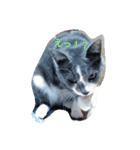 しあわせたっぷりすたんぷ（個別スタンプ：31）