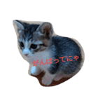 しあわせたっぷりすたんぷ（個別スタンプ：32）