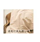 変顔イタグレスタンプ（個別スタンプ：5）
