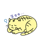 のみすけネコ（個別スタンプ：10）