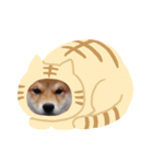 ゆうふぁむ（個別スタンプ：3）