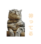 吾輩は猫だ（個別スタンプ：6）