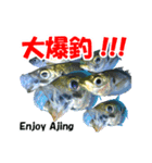 アジ釣り（個別スタンプ：5）