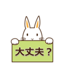 挨拶◇連絡 ウサギのスタンプ（個別スタンプ：5）