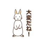 挨拶◇連絡 ウサギのスタンプ（個別スタンプ：16）