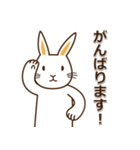 挨拶◇連絡 ウサギのスタンプ（個別スタンプ：18）