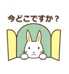 挨拶◇連絡 ウサギのスタンプ（個別スタンプ：39）