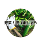 料理で気分（個別スタンプ：11）