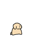 ココとロロ 英語版（個別スタンプ：24）