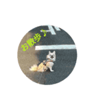 犬すたんぷ 
愛しのレオン君♪（個別スタンプ：13）
