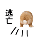 うさぎのとんかつ②（個別スタンプ：4）