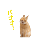 うさぎのとんかつ②（個別スタンプ：15）