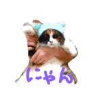 茶々の日常2018（個別スタンプ：1）