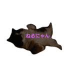 茶々の日常2018（個別スタンプ：7）