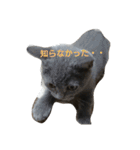 茶々の日常2018（個別スタンプ：19）