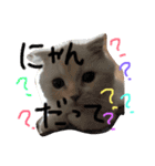 ラヴたんと時々ひよ②（個別スタンプ：3）