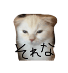 ラヴたんと時々ひよ②（個別スタンプ：7）