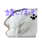 ラヴたんと時々ひよ②（個別スタンプ：9）