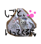 ラヴたんと時々ひよ②（個別スタンプ：11）
