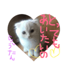ラヴたんと時々ひよ②（個別スタンプ：16）
