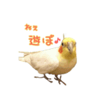 ちょびまるスタンプ（個別スタンプ：18）