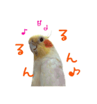 ちょびまるスタンプ（個別スタンプ：20）