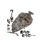 ヒラメ 釣り2（個別スタンプ：1）