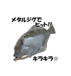 ヒラメ 釣り2（個別スタンプ：3）