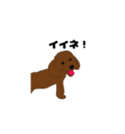 トイプードルの僕（個別スタンプ：10）