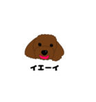 トイプードルの僕（個別スタンプ：18）