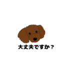 トイプードルの僕（個別スタンプ：27）